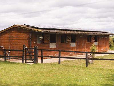 Picture 34
